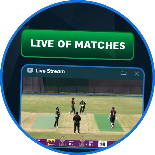Watch IPL live matches today at Stake.